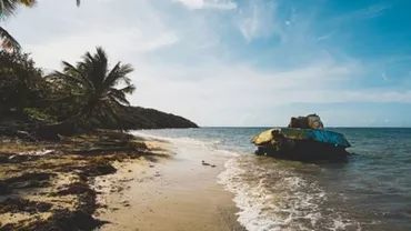 Imagini impresionante cu tancuri din primul și al doilea Război Mondial abandonate în mijlocul naturii (FOTO)