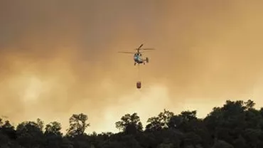 Incendii la granița dintre Franța și Spania: 900 de hectare de vegetație au fost cuprinse de flăcări