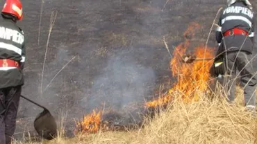 Zece hectare cu stuf și vegetație uscată, din zona cetății Histria, au fost cuprinse de flăcări