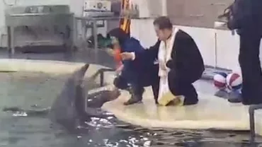 Un preot a botezat şi stropit cu apă sfinţită delfinii şi cerbii din Constanţa (VIDEO)