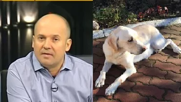Câinele lui Adrian Năstase a ajuns la rubrica lui Radu Banciu - "Mortul zilei": Comentarii despre patrupedul Aramis, care alunga viezurii și mistreții pe conacul de la Cornu (VIDEO)