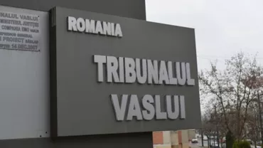 Vaslui: Zece capete de acuzare pe numele a trei tineri acuzați că au ucis o femeie, au stropit-o cu vodcă și i-au dat foc
