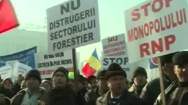 Pădurarii protestează în fața Guvernului, atrăgând atenția că România are printre cele mai mari prețuri de achiziție a masei lemnoase din Europa (VIDEO)