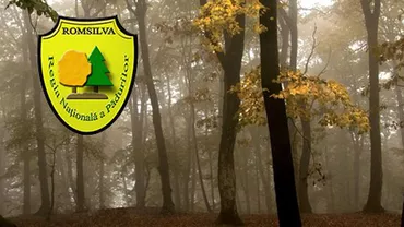 Corpul de Control al prim-ministrului verifică activitatea Romsilva