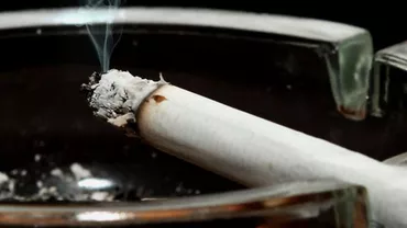 "Alooooo! Alcoolul face de trei ori mai rău, gazele de eșapament la fel. Nu țigara mea sau aburul de la țigara electronică". Oana Mujea susține că legea antifumat are scopuri ascunse