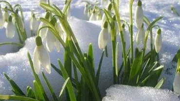 Vremea se încălzește în următoarele 2 săptămâni. Prognoza meteo pentru fiecare regiune a ţării