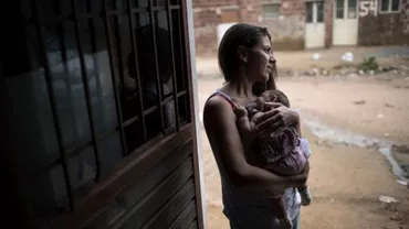 Organizaţia Mondială a Sănătăţii: Virusul Zika este urgenţă medicală globală