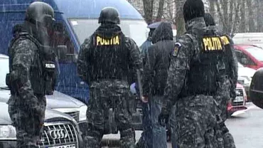 Operațiune a Poliției Române: 156 de percheziții în 24 de județe și în Capitală, la persoane care ar fi emis avize de însoțire a lemnului