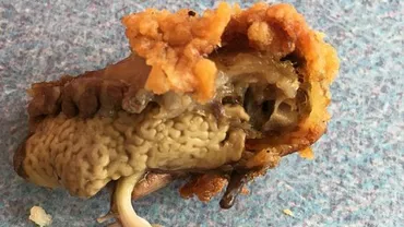 Descoperire dezgustătoare la KFC: Un bărbat din Australia a găsit, în loc de carne, un plămân (FOTO)