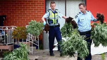 Australia: Canabisul folosit în scopuri terapeutice ar putea fi legalizat în acest an