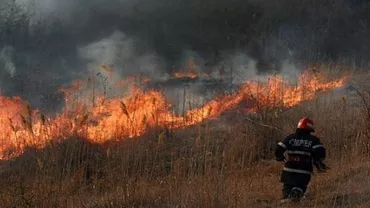 Aproximativ 200 de hectare de vegetație uscată au ars în urma unui incendiu din Buzău
