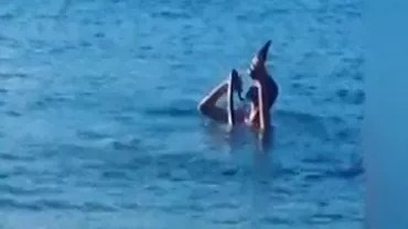 Cu o bere într-o mână și cu un piton în cealaltă. Așa a fost surprins un bărbat în Australia, în timp ce făcea baie într-un lac (VIDEO)