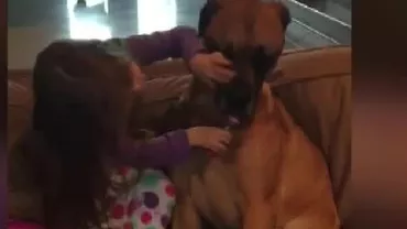 O fetiță a înduioşat mii de oameni. Ea vrea să fie medic veterinar și primul consult l-a făcut pe câinele familiei (VIDEO)
