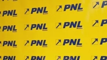 PNL și-a stabilit candidații la primăriile de Sector: Fostul ministru al Transporturilor, Alexandru Nazare, la Sectorul 1; Răzvan Sava, la Sectorul 4