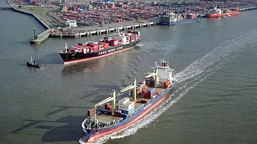 Descoperire într-un port Belgia: Trei tone de cocaină au fost găsite într-un container care conţinea banane
