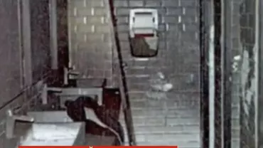 INSEMEX: Temperatura din clubul Colectiv a ajuns și la 600 de grade Celsius (VIDEO)