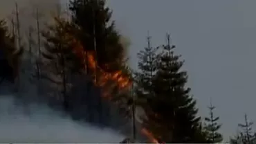 Vegetație în flăcări, între Râșnov și Predeal (VIDEO)