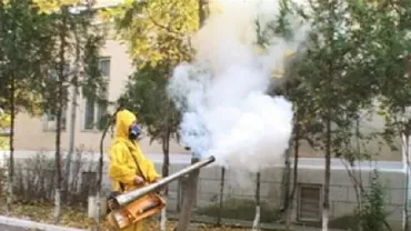 Zalău: Cazul unui bărbat muşcat de un şobolan creşte costurile cu deratizarea