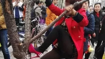 China: Oamenii se cațără în cireșii înfloriți pentru a-și face selfie (FOTO)