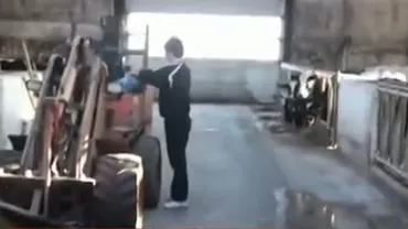 Românii care muncesc la ferme în Danemarca sunt umiliți de patroni și se plâng de condiţiile insalubre (VIDEO)