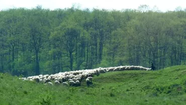 Satele românești care au cucerit lumea: "Arată ca Raiul. Mi-ar plăcea să locuiesc acolo" (FOTO)