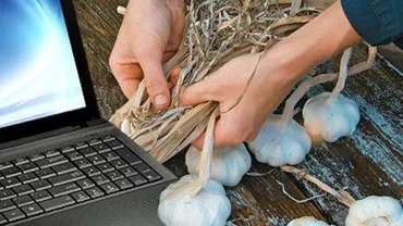 Studiu: S-a înregistrat o creștere accelerată a numarului de materiale online despre supremația dacilor, ocultism, masoni, îngeri și leacuri băbești