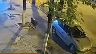 Cum se fură bordurile la Chișinău? Imagini incredibile surprinse de camerele de supraveghere (VIDEO)