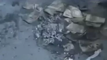 2,5 de milioane de euro falși confiscate dintr-o tipografie din Bulgaria (VIDEO)