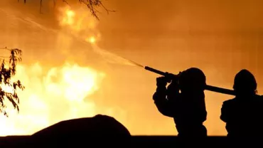 Incendiu devastator la o fermă din Giurgiu: 90.000 de păsări au ars de vii