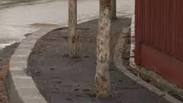 Dorel lovește din nou: A asfaltat copacii de pe un trotuar din Breaza (FOTO)