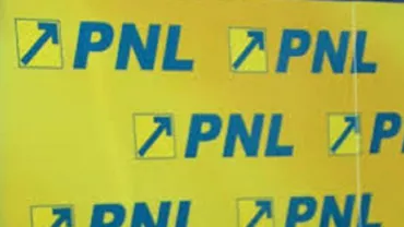 Scandal în interiorul PNL: ”Am constatat că în teritoriu deciziile partidului nu sunt respectate”