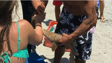 O femeie a ajuns la spital cu tot cu rechinul care a muşcat-o de mână (VIDEO)