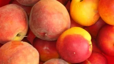 Atenţie la caisele şi nectarinele din Turcia! ANSVSA: Reziduurile de pesticide, peste limita admisă (VIDEO)