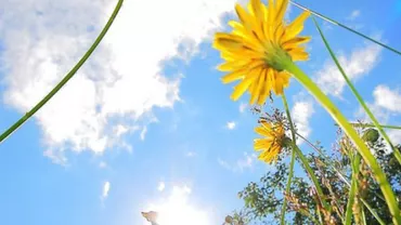 Prognoza meteo. Cum va fi vremea săptămâna viitoare