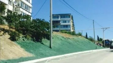 Au vopsit iarba uscată cu verde, să arate bine în ochii oficialilor (FOTO)