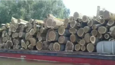 Imagini şocante au fost surprinse de un turist în Deltă. Ce se întâmplă în această rezervație naturală (VIDEO)