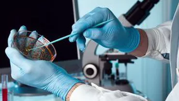 Infecțiile cu bacterii rezistente la antibiotice: Primul caz semnalat în SUA declanșează un semnal de alarmă la G7