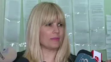 Elena Udrea a cerut ca Predoiu, Boc şi Cocoş să fie audiaţi în procesul „Gala Bute” (VIDEO)