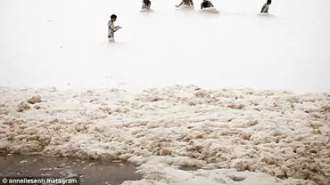 Pericol de contaminare în Australia! Oamenii au fost avertizați să nu intre în apă (FOTO, VIDEO)