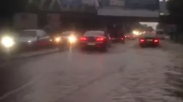 Copaci căzuţi şi locuinţe inundate în Capitală în urma ploilor torențiale (VIDEO)