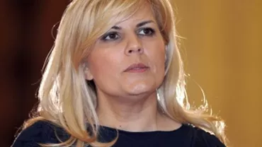 Udrea, reacție după decizia CCR: Cei care au țipat că se va dezincrimina abuzul în serviciu se dovedesc a fi niște mincinoși care au vrut să pună presiune pe judecători