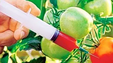 Oficial american, declaraţii halucinante la Bucureşti: SUA nu acceptă produsele tradiţionale, vrem culturi modificate genetic