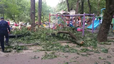 Parcul Cișmigiu din Capitală: Două mame și patru copii, răniți de o creangă ruptă dintr-un copac din cauza vântului