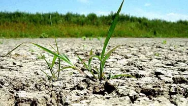 Temperaturi peste medie şi secetă. Prognoza meteo pe 3 luni