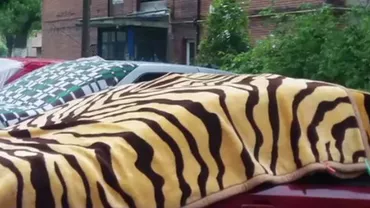 Scut-antigrindină cu pături și cartoane: Mai multe maşini au fost avariate de bulgări de gheaţă cât oul de găină (FOTO)