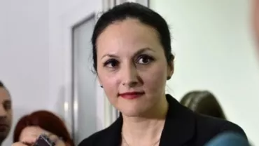 Alina Bica, avocat şi inculpat în faţa aceluiaşi judecător: "Trebuie să-mi câștig existența"