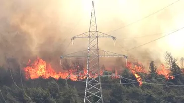 Doi pompieri și-au pierdut viața în urma unui incendiu devastator de vegetație în Cipru