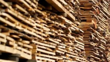 Produsele Schweighofer sunt retrase de pe piața austriacă, dar continuă să fie vândute în România, deși compania a pierdut certificatul de sustenabilitate FSC