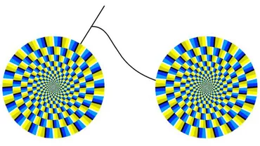 The Best Illusion of the Year: Care este cea mai apreciată iluzie optică a anului (VIDEO)