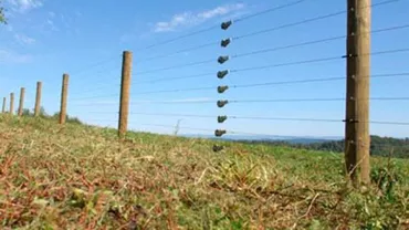 Tragedie în Munții Apuseni: O femeie a murit după ce a atins un gard electric. Proprietarul a fost arestat pentru omor